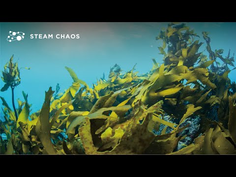 【カイソウ vs ウミクサ!!】「いざ、海の世界へ！知られざる海藻たちの正体」''鎌倉''を舞台にブリパイセン一味がドドドッと海を駆け巡る！【 #STEAMCHAOS 海から受け取る命のバトン #3】