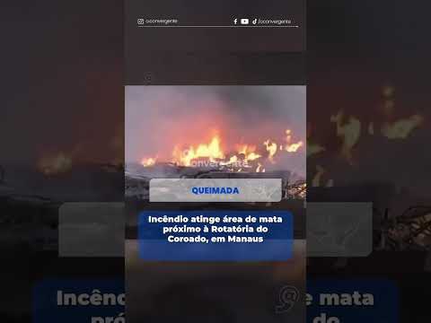 Incêndio atinge área de mata próximo à Rotatória do Coroado, em Manaus