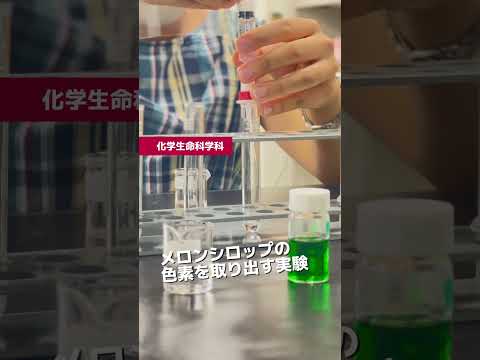 【公式：日本女子大学】最後に入試情報も👀✨オープンキャンパスの最新レポートをお届けします！　#大学 #受験 #shorts