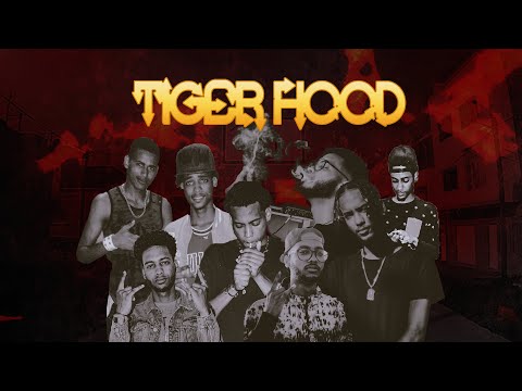 Tiger Flame “SKY” ft. MiSTER HiGH (prod. Bieitch Beatz) vizualizer