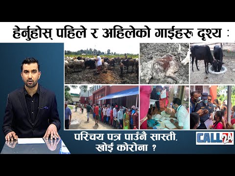 मृत्यु कुरेका गाईहरुको उद्दार, परिचय पत्र पाउँनै सास्ती, खोई कोरोना ? | CALL 24