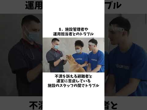 どの低木が鳥を惹きつけるでしょうか？冬には避難場所と避難場所の両方を提供する 5 種以上の種  庭園