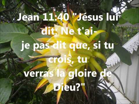download lagu mp3 mp4 Tu Verras La Gloire De Dieu, download lagu Tu Verras La Gloire De Dieu gratis, unduh video klip Tu Verras La Gloire De Dieu