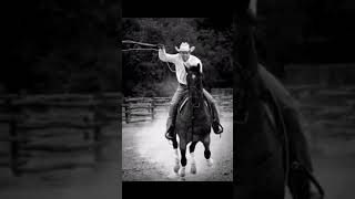 Conway Twitty “Desperado Love”
