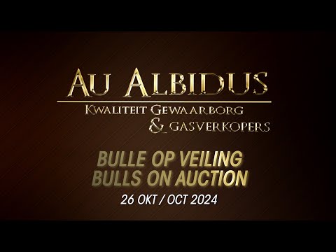 Au Albidus - Bull slideshow