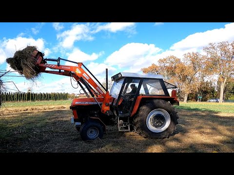 Ursus 385 Turbo - Wozimy siano luzem jak za dawnych lat