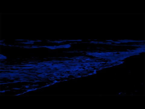 Beat Insomnia & Fall Asleep Instantly with 24 Hours of Ocean Wave Sounds on Dark at Night