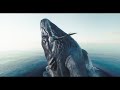 Pinocchio 2022 Scene Monstro Half Of Whale And Half Of Octopus