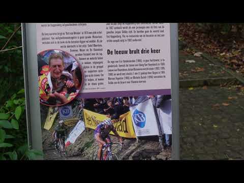 This is Flanders   DE MUUR