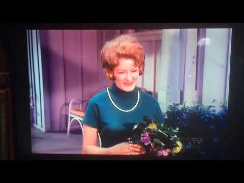 The Andy Griffith House on My Three Sons 7:2