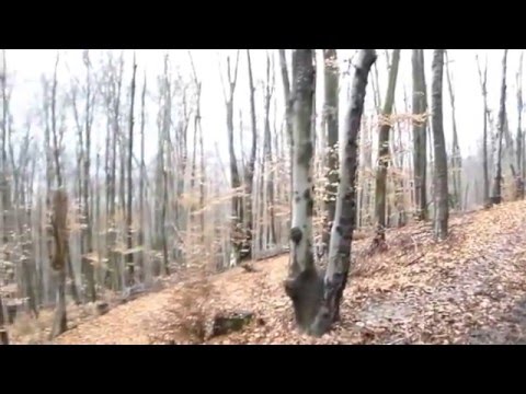 Vînătoare la Hălmăgel