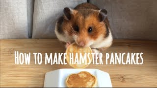 How to make mini pancakes for hamsters. - Wix.com