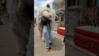 Download lagu Bocil gagal di makan can macanan yang kena malah Kaka yang lagi jalan santai mp3 Download lagu Bocil gagal di makan can macanan yang kena malah Kaka yang lagi jalan santai mp3