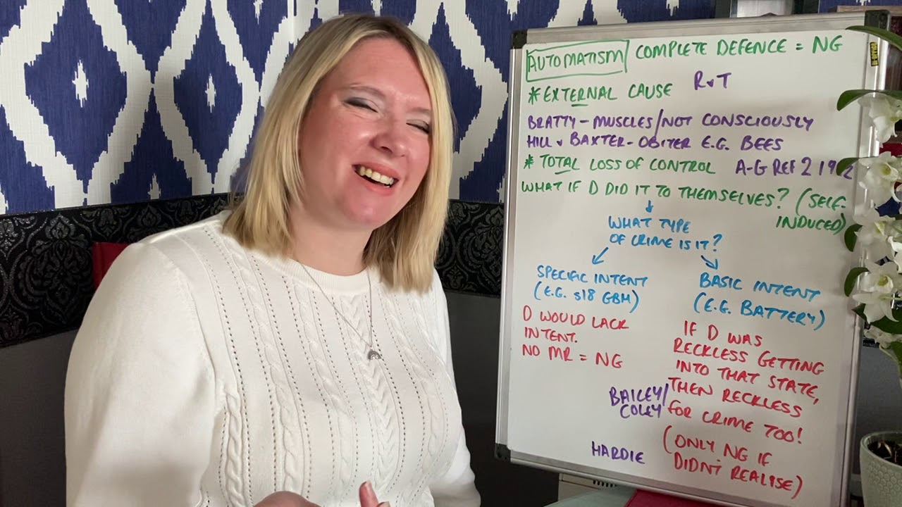 Mental capacity defences summary