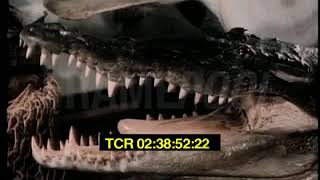 John Barrymore's Bella Vista Estate and Trophy Room in 1940