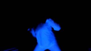 FRESH - Tedashii | Dannnce @emilimendes