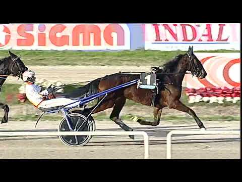 Napoli Trotto 08/01/2023 - 4ª corsa