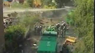 95 Slime Bullenscweine