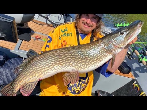 HAUKI 10.8KG | KAIKKIEN AIKOJEN HAUKIREISSU | HK-OPEN 2023 | HAUENKALASTUS