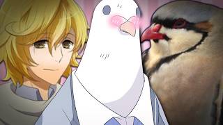 The WILD Dating Sim Where You Fall In Love With Pigeons (and your teacher)