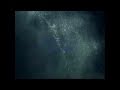 S.A.D. LIGHT GLASVEGAS with lyrics