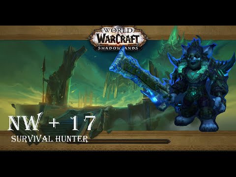Survival Hunter 217 ilvl | Necrotic Wake + 17 | WoW Shadowlands M+ Dungeon