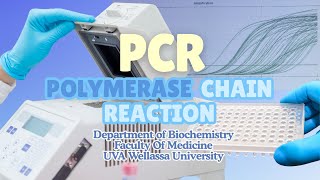 PCR Test Step by Step | Principle & Procedure