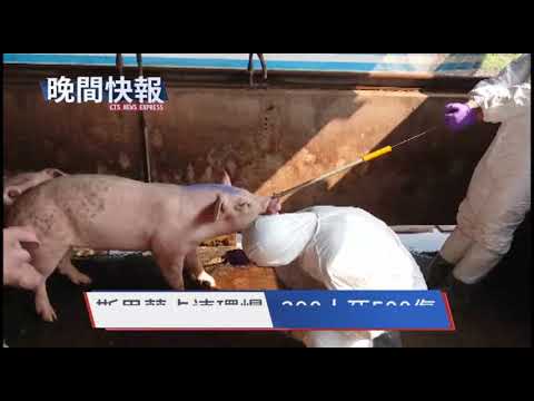 【晚間搶先報】斯里蘭卡連環爆炸 290人死逾5百傷