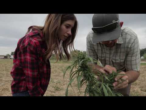 Meet the farmers