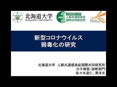 コロナウイルス感染症:研究で憂慮すべき結果が判明