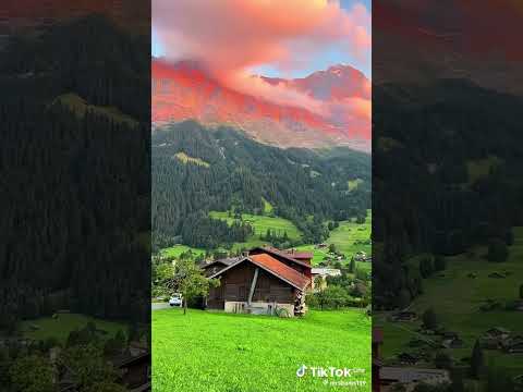 Switzerland 🇨🇭#switzerland #nature #shorts