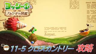 【ヨッシーとフカシギの図鑑】11-5 特集 ドタバタクロスカントリー 調査コンプリート【攻略/switch2】