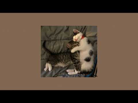 Сати Казанова feat. Arsenium- до рассвета(speed up)🦋