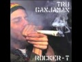 Rocker-T-Tru Ganjaman (Jump Up an Wap Dem Mix ...