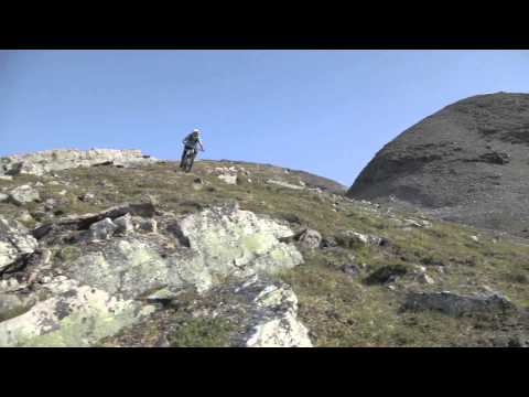 Rinne Ylä - Pole Bicycle Company