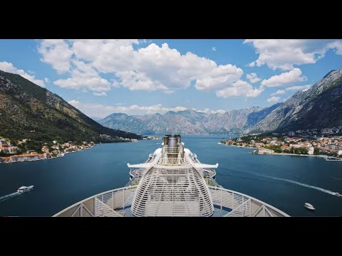 The Cruise 2022: Official After Movie