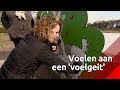 Voelen aan een ‘voelgeit’