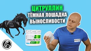 Progress Nutrition Citrulline Malate 250 g /75 servings/ Blue Raspberry - відео 1