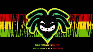 Natiruts - Forasteiro