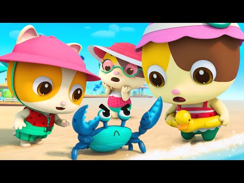 Capa de A Aventura do Timi na Praia! 🏖️ | Música Infantil | BabyBus Português