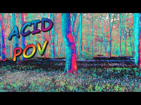 Semi-Realistic Acid Trip POV (Point of View)