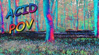 Realistic Acid Visuals (LSD)