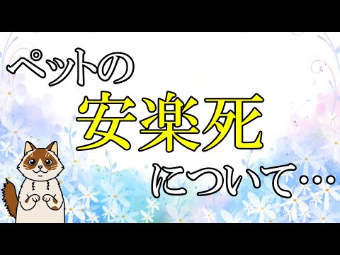 猫の安楽死