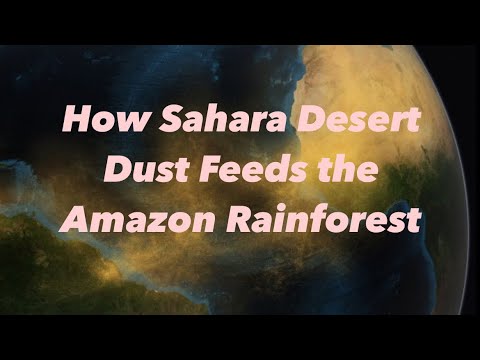 How Sahara Desert Dust Feeds the Amazon Rainforest.