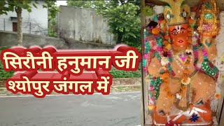 सिरौनी हनुमान जी श्योपुर जंगल में #like