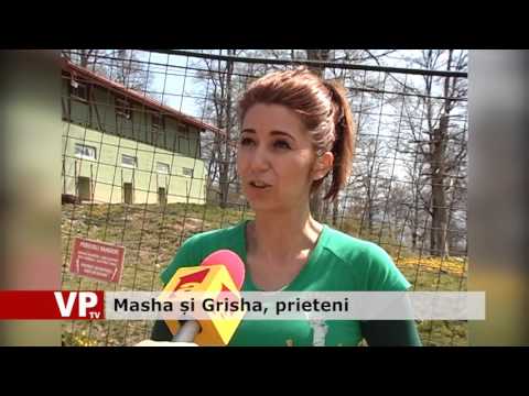 Nou magazin Digi în Ploiești