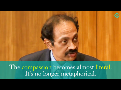 Mirror Neurons - Brain Science of Compassion