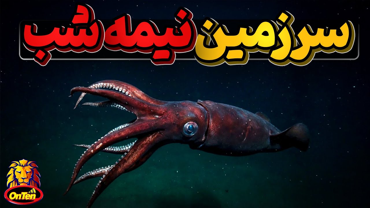 چرا دنبال کشف فضا هستیم؟ هنوز 95 درصد ژرفای اقیانوس ها را نمیشناسیم