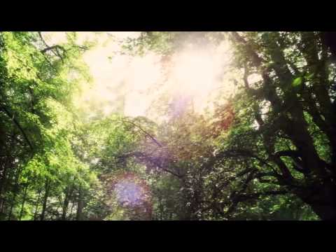 Walkthrough Walkthrough