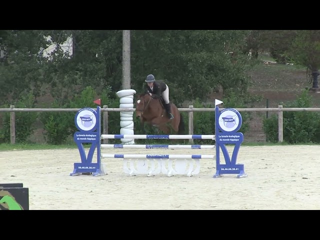 Jument SF polyvalente CSO